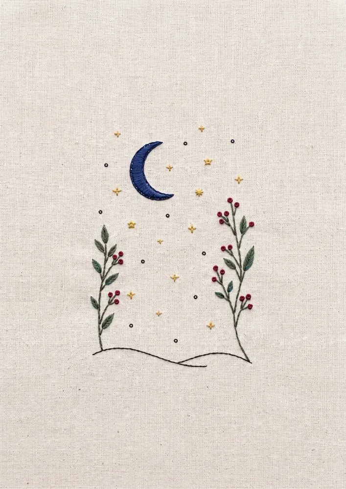 Céu de Dezembro com lua, estrelas e ramos